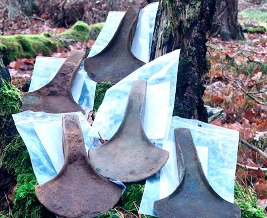 The collection of five Bronze Age axe blades leaning against a tree in the forest where they were found.	Source: Nadleśnictwo Stargard