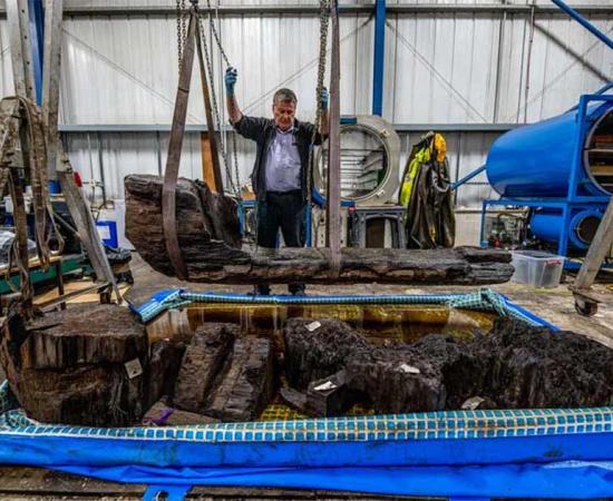 The “Tetney Golf Club” Bronze Age coffin, made from a massive split oak tree, being carefully lifted to a restoration workstation.
