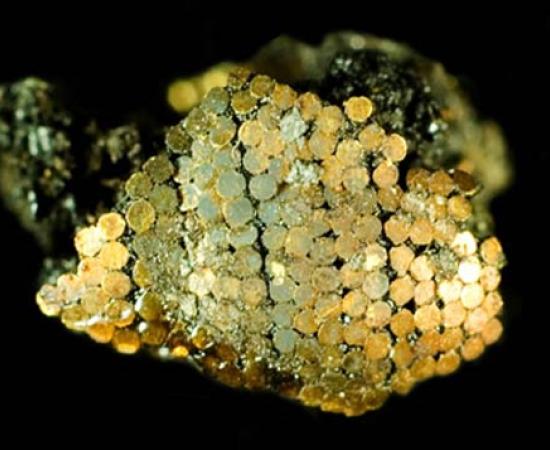 Bronze Age microscopic gold work from around Stonehenge