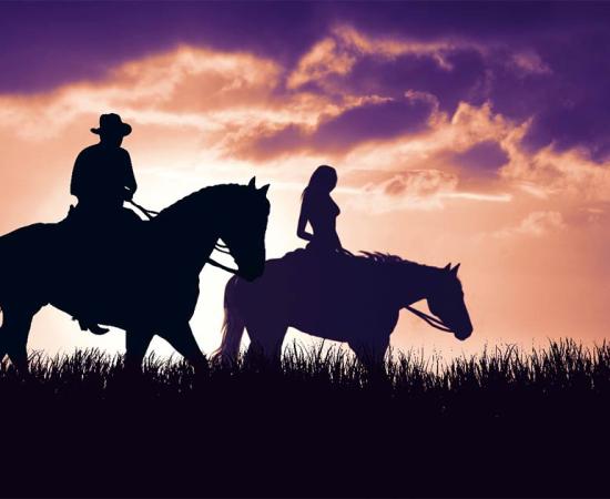 Is sexism exhibited in Bronze Age horse selection?     Source: ginettigino / Adobe Stock