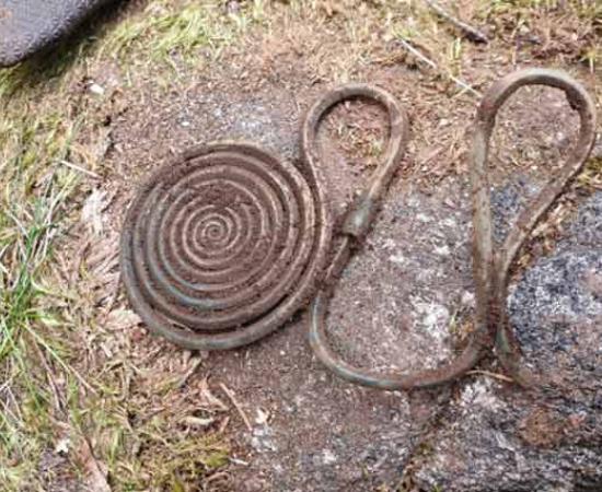 Bronze Age Treasure Accidentally Found in Swedish Forest