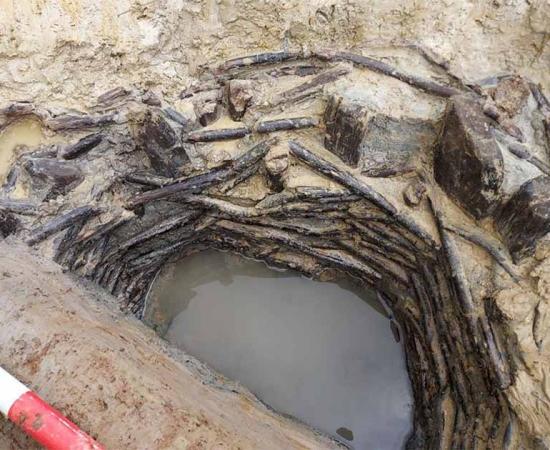 The Bronze Age wooden structure found in Oxfordshire, England.  	Source: Oxford Archaeology via Oxfordshire County Council