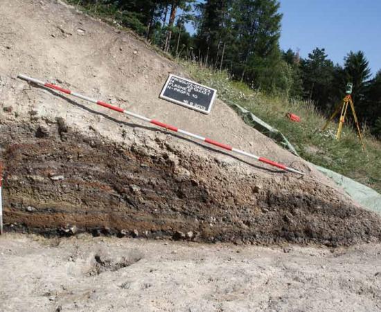 Bronze Age food, plant and cereal remains, from a mining site in Austria dating to the 11th - 9th century BC have been studied and the scientists found no evidence of food processing. 