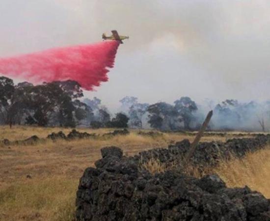 Fire services fought to save the Budj Bim site.