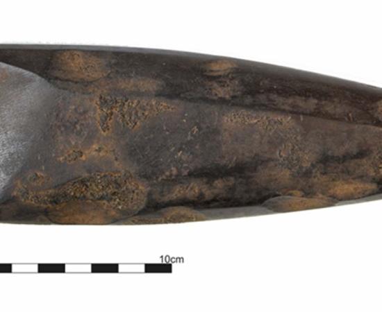 Oldest Human Burial and Polished Axe Unearthed in Ireland