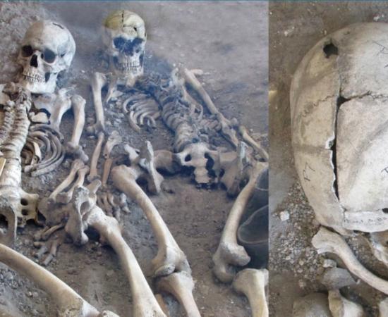 Two previously misidentified skeletons. 