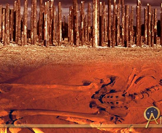 Skeletal remains and recreation of a prehistoric timber circle 