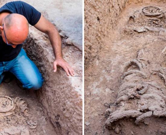 The remains of a Byzantine monk in chains being excavated in Khirbat el Masani, West Bank. Source: IAA