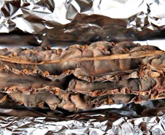 The recently discovered cactus, possibly belonging to the hallucinogenic species San Pedro (Echinopsis pachanoi). 