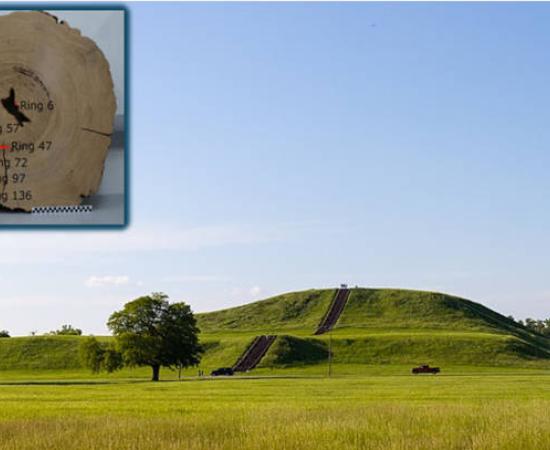 View of Cahokia's Monk Mound with inset the Mitchell Log.