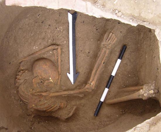 Skeleton found in Sidon, Lebanon, from which the Canaanite DNA was extracted 