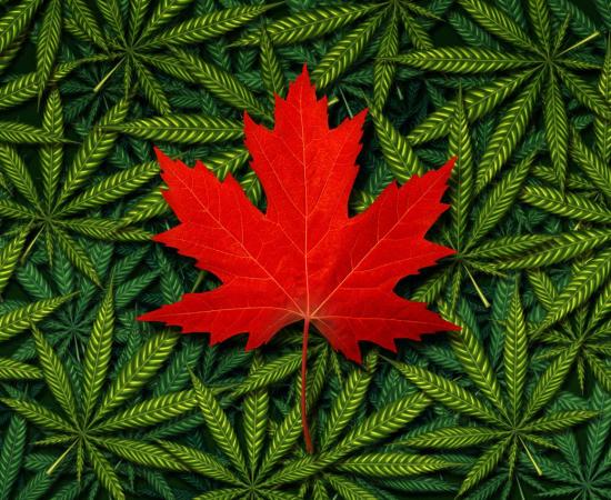 Canada legalizes marijuana concept.