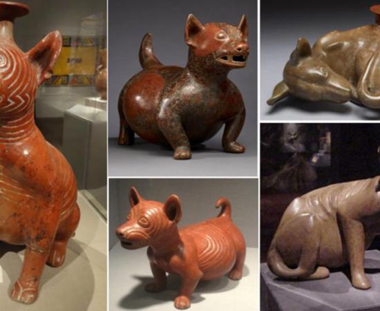 The Canine Figurines of Mesoamerican Colima