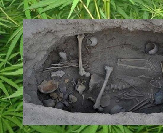 Archaeologists Are Surprised to Find a 2,500-Year-Old Cannabis Burial Shroud Found in China