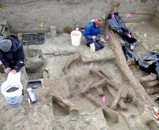 Archaeologists working in the 1,000-year-old house at the Rising Whale site at Cape Espenberg, Alaska. 