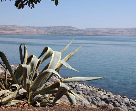 The Sea of Galilee seen from Capernaum.