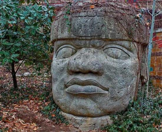 Famous stone head of the Olmec civilization. 