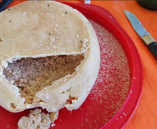 Casu Marzu cheese with maggots. Source: ballylocci / Adobe Stock.