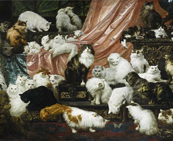 DNA Analysis Suggests Cats Chose to Be Domesticated 