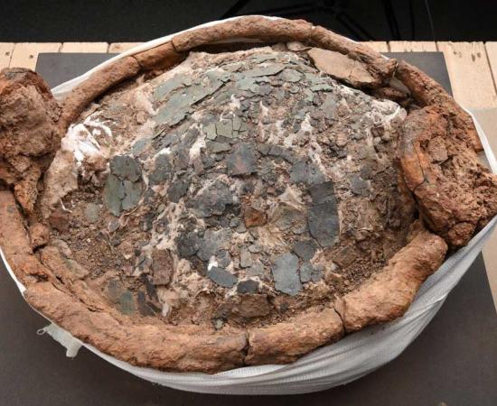 L-R: An iron involuted brooch, copper alloy horn-cap, dress pin and cauldron that were found at the site. 