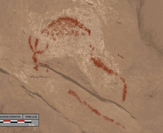 Digital tracing of Bison featured in rock art.