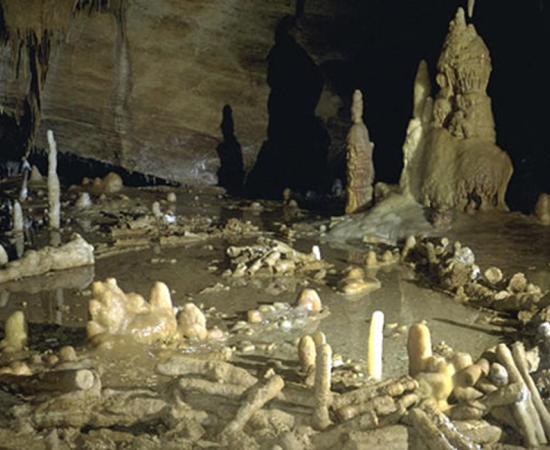 Deep in a Cave in France Neanderthals Constructed Mysterious Ring Structures 176,000 Years Ago