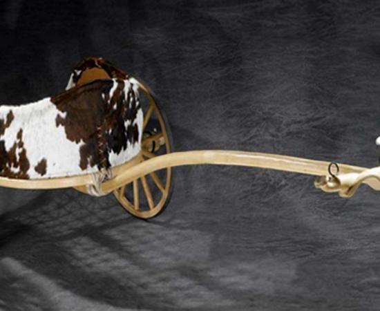 2,500-Year-Old Celtic Chariot Proves Iron Age Links with Mainland Europe