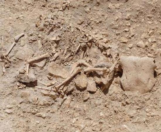 Celtic burial with hybrid-animal bone arrangements