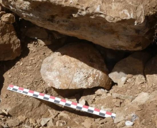 The skull of the decapitated Cantabrian warrior in situ where found in the collapsed fortess wall.