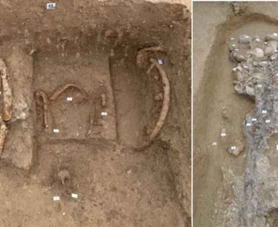 The princely chariot tomb at the center of the newly uncovered 6th-century BC Picene funerary complex near Sirolo