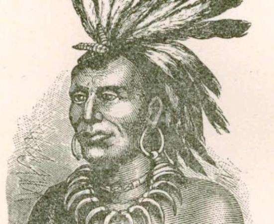 Chief Little Turtle & The Battle of Kekionga (Video)