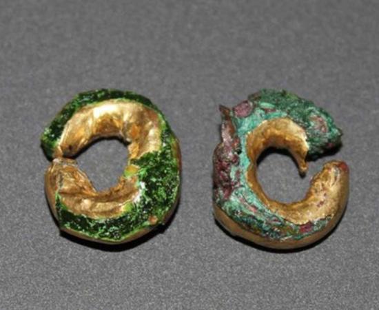 The gold hair rings found at Sculptor's Cave near Covesea, Moray. 