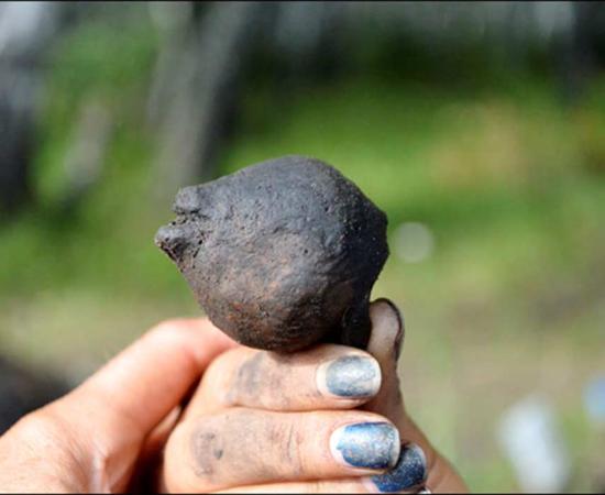 4,000-year-old Children's Rattle Crafted as Bear Cub's Head: And it Still Rattles!