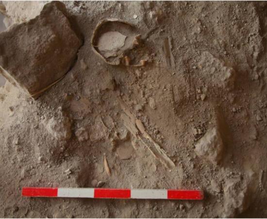 The upper half of one of the dozens of children’s skeletons found in the cistern in Azekah