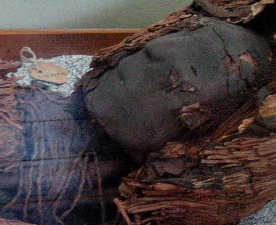 Chinchorro mummy. Source: Pablo Trincado / CC by SA 2.0.