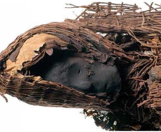 The head of an ancient Chinchorro mummy from northern Peru