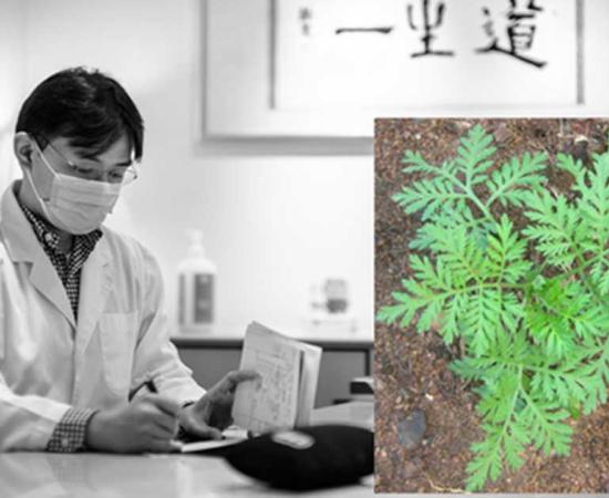 Ancient Chinese Remedy Could Wipe Out Tuberculosis