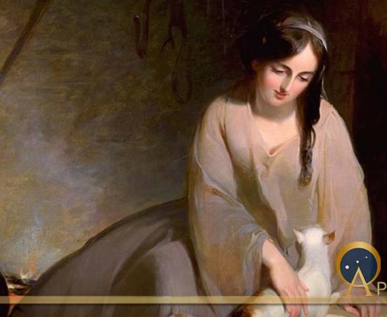 The Cinder-Tree: Origins Of The World’s Most Famous Fairy Tale Cinderella
