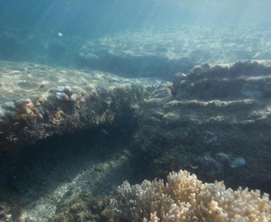 2,000-Year-Old Lost City of Rhapta May Have Been Found in Tanzania