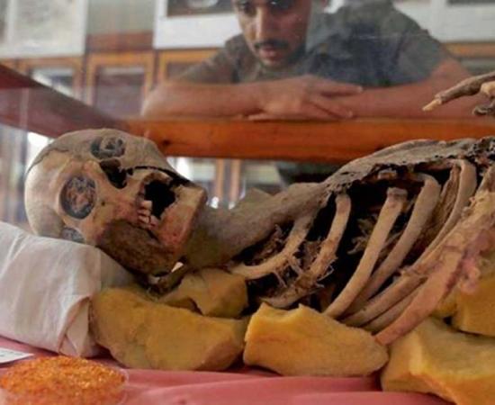 Student looks at millennia old mummy at Sanna University Mudeum, Yemen. 