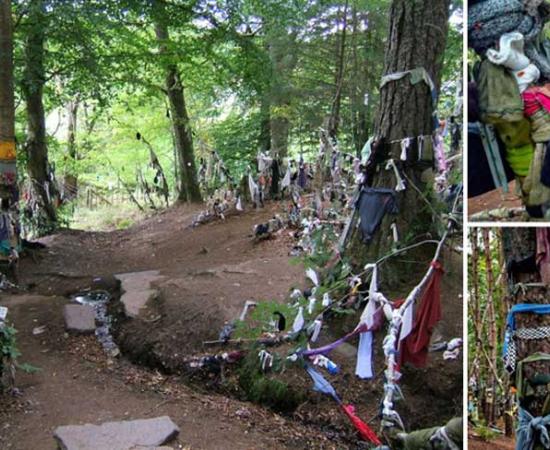 Left, Clootie Well site before the unauthorized clean-up; Right Ashley Cowie at the site	Source: Left, F Leask / CC BY-SA 2.0; Right, @ashleycowie