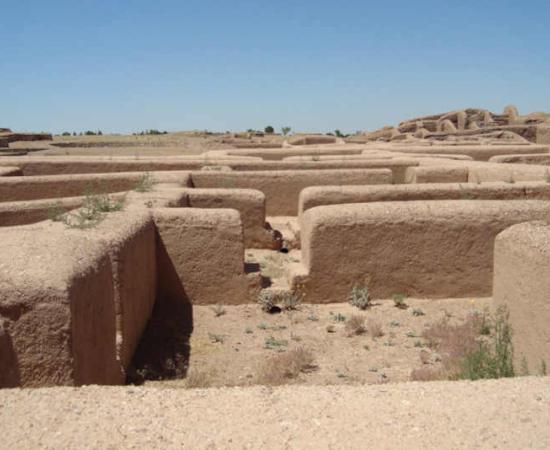 Closely Related Elite Parents Sacrificed Child in Pre-Columbian Mexico 