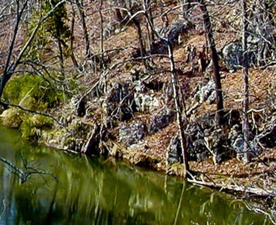 The Lost Tribe of Clover Hollow – Oldest Civilization in the World Found in Appalachian Mountains?