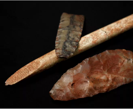Clovis artifacts and foreshaft associated with the Anzick burial, Montana
