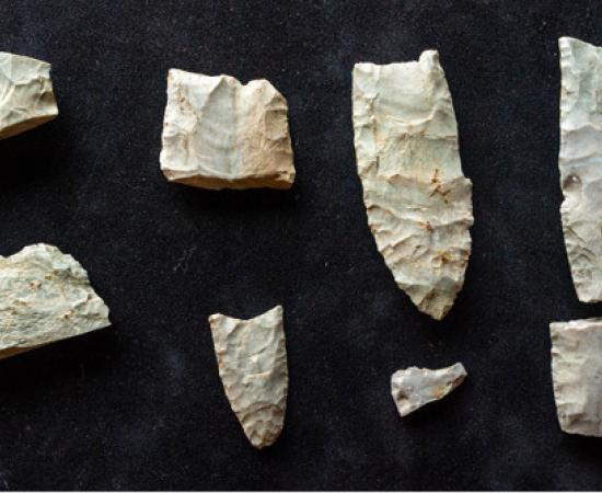 20 Clovis tools and hundreds of pieces of manufacturing and refurbishment debris at the Belson Clovis Site in St. Joseph County. 