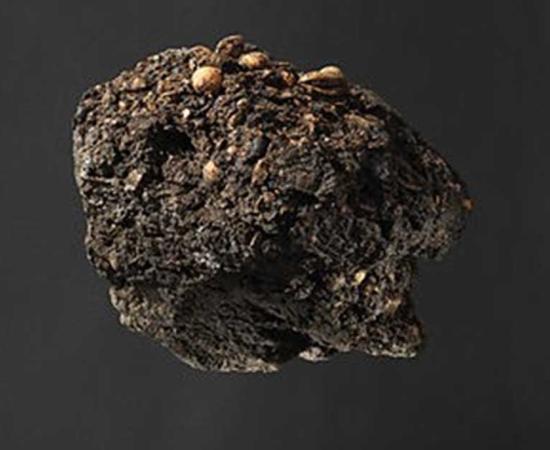 Archaeologists Match 300-Year-Old Clump of Fecal Matter to the Bishop that Made it 