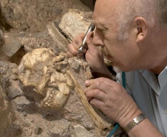 Professor Ron Clarke busy excavating the Little Foot Skull from the Sterkfontein Caves.
