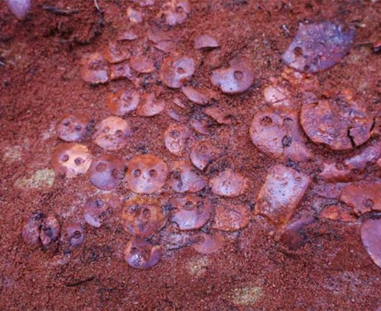 Amber ornaments found in the Copper Age burial.     Source: Petrozavodsk State University