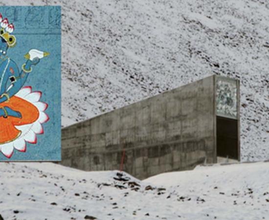 Could Frozen Seeds Save the Future? Scientists Bring a 32,000-year-old Seed Back to Life