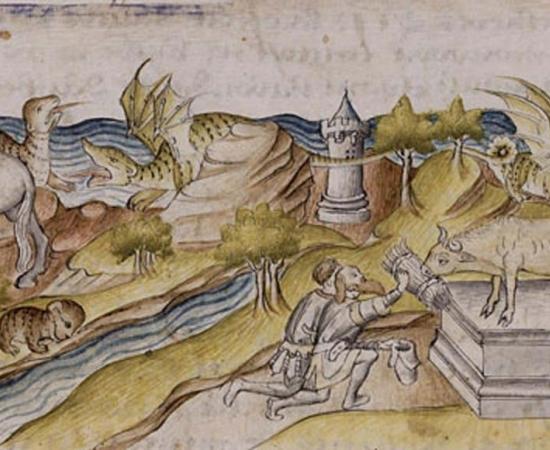 Creatures of the Land, Sea and Heavens: Ancient Beliefs in Animal Counterparts